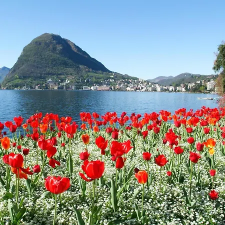 Centro- Happy * Lugano